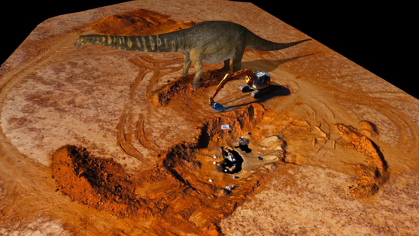 This Australian behemoth is officially the largest dinosaur on the continent