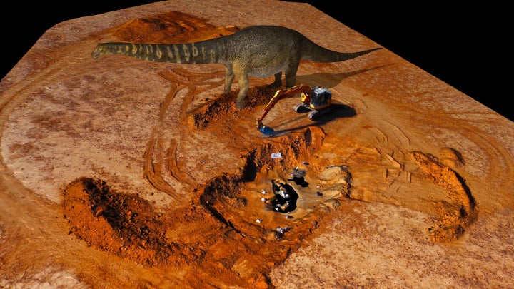 Australotitan dinosaur compared to an excavator (c)Eroman Museum