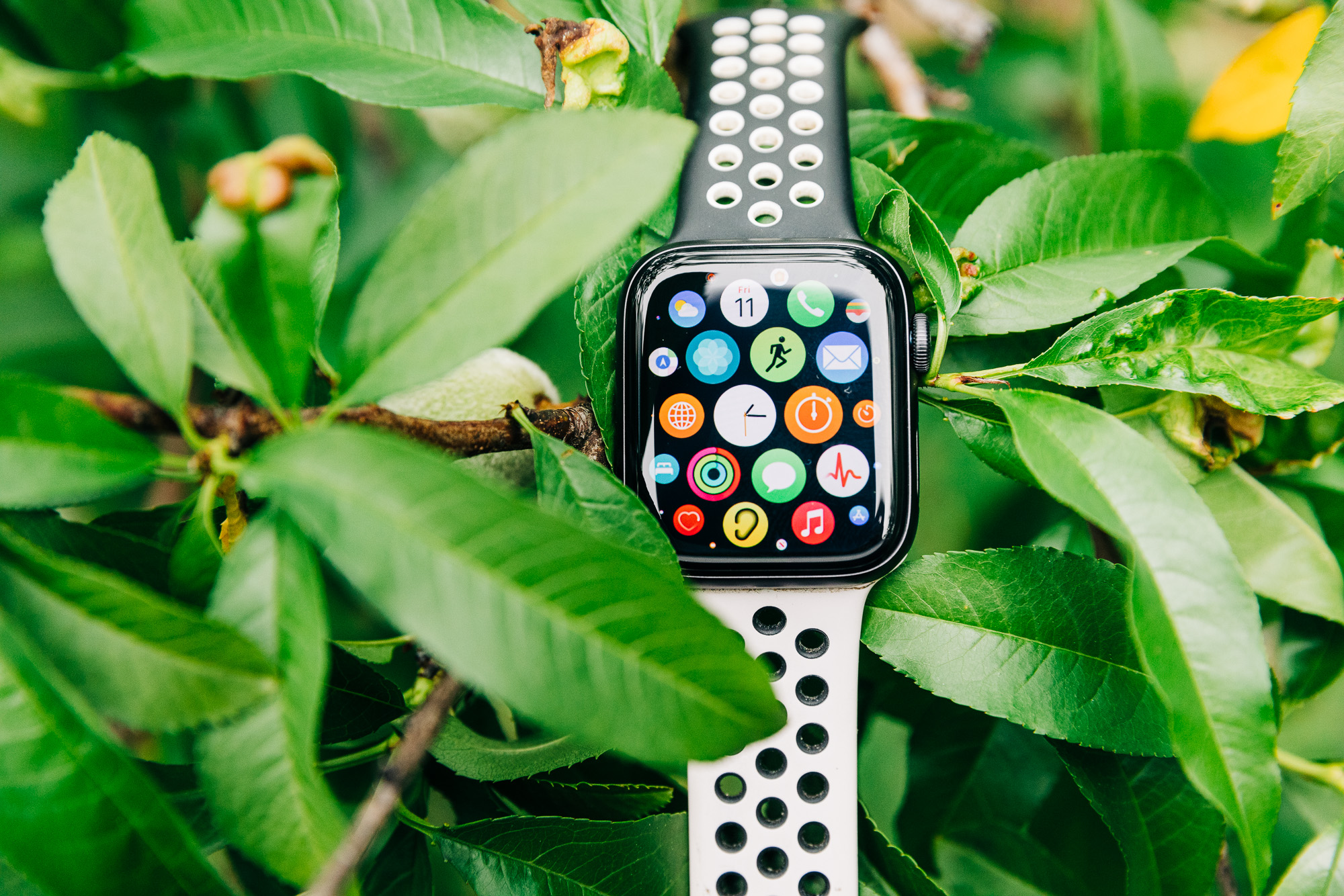 Apple Watch Series 6 ofrece funcionalidades innovadoras de bienestar y  fitness - Apple (LA)