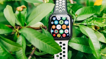 Apple Watch Series 6 in a plant with apps on the screen