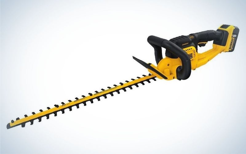 This Black and yellow, cordless, battery powered hedge trimmer is the best hedge trimmer