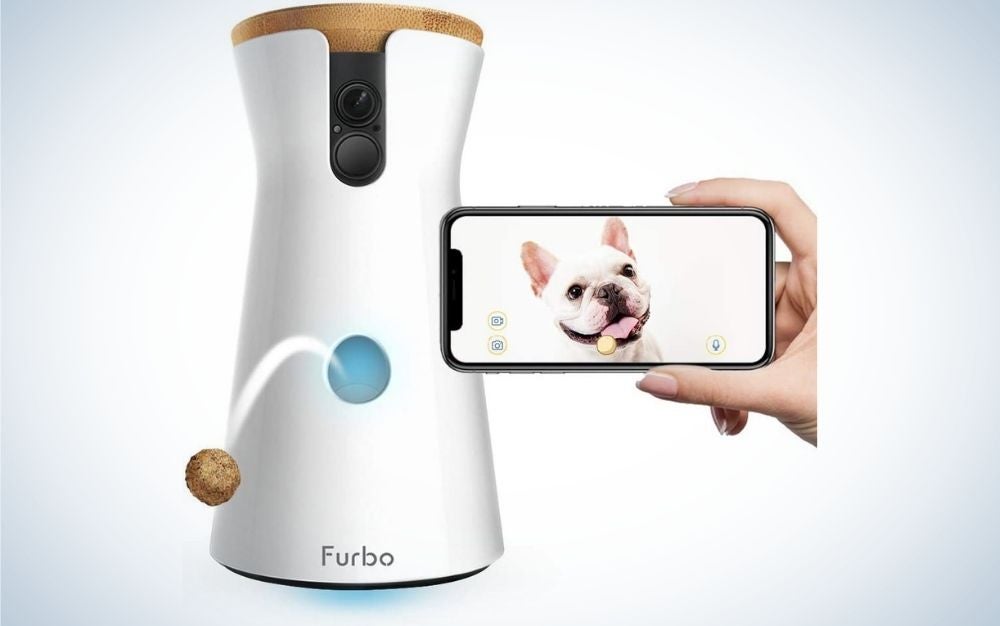 Furbo Dog Camera is the best treat-tossing dog camera.