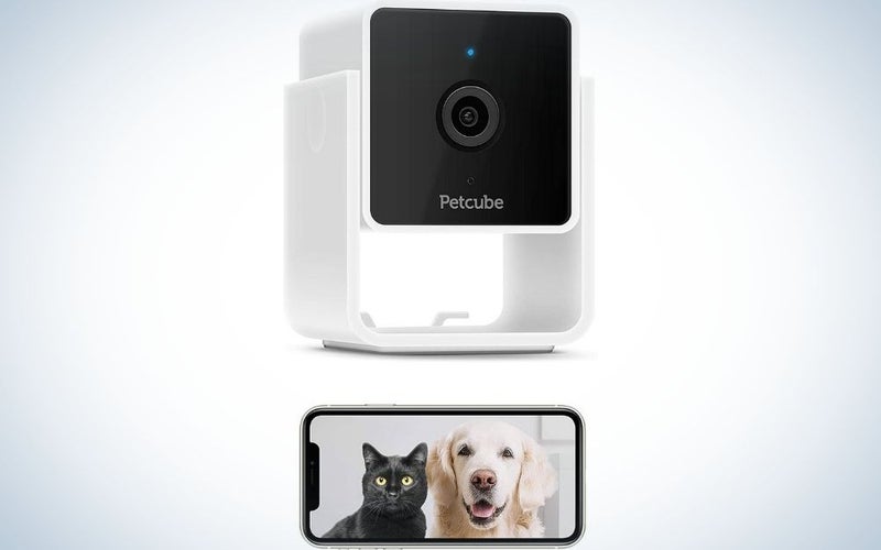 The Petcube Cam Pet Monitoring Camera is our pick for the best dog camera