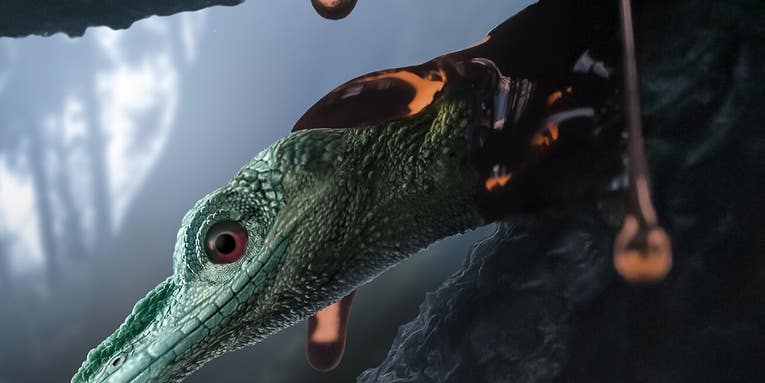 This fossil isn’t a hummingbird-sized dinosaur, but an unusual lizard