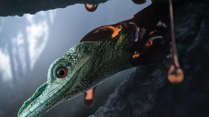 This fossil isn’t a hummingbird-sized dinosaur, but an unusual lizard