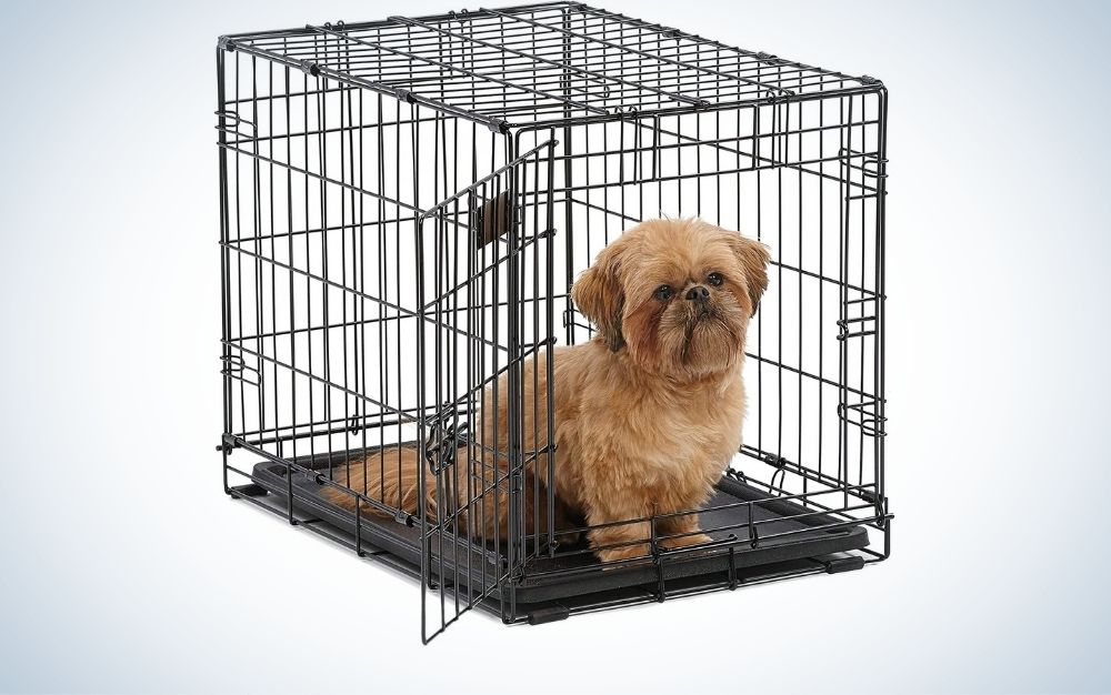 https://www.popsci.com/uploads/2021/06/15/midwest-homes-pets-dog-crate.jpg?auto=webp&width=800&crop=16:10,offset-x50