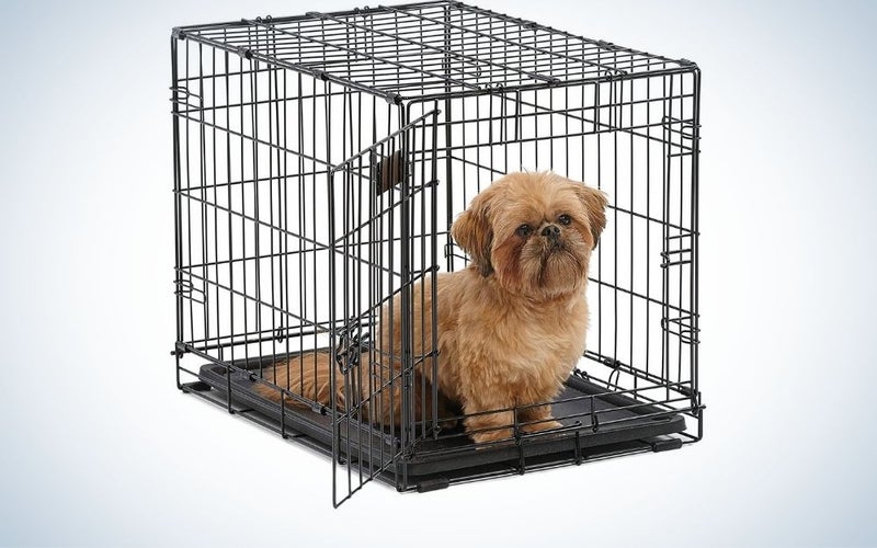 A small brown dog ââthat sits and is positioned in a metal dog cage and visible from the outside.