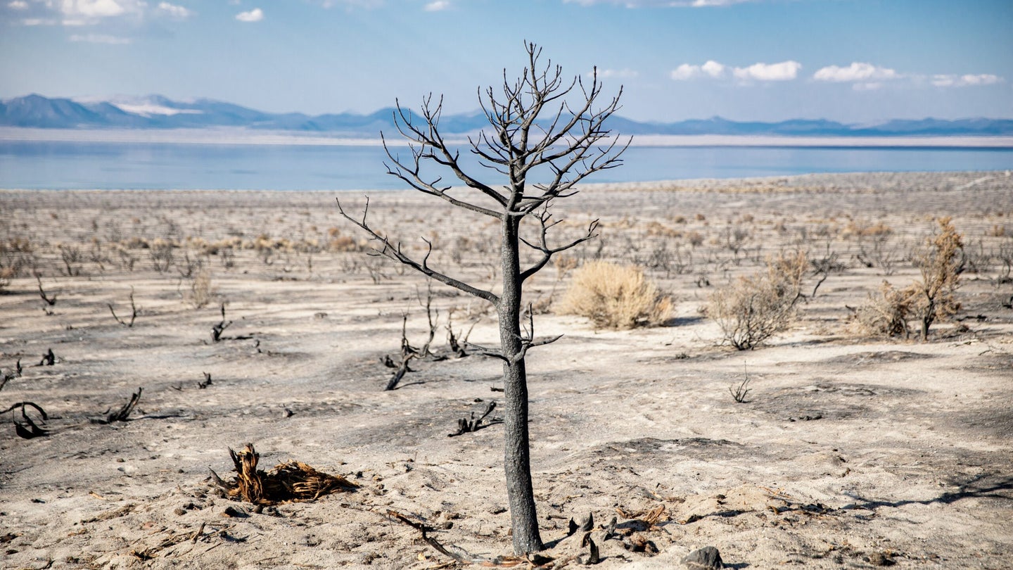 What you need to know about the heatwave and drought scorching the western US