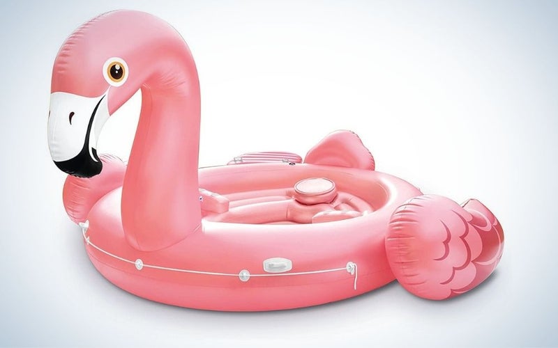 Pink flamingo swimming pool