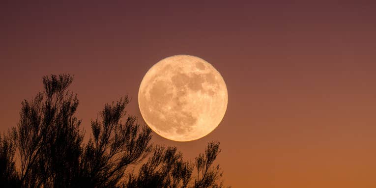 The Strawberry Moon, explained