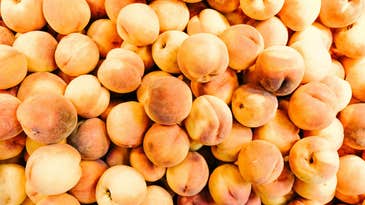 ‘Fugitive dust’ seems to have caused last summer’s salmonella outbreak from peaches