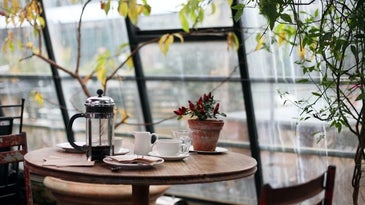 Best French presses for your morning routine