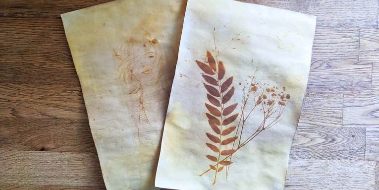 Spice up your art with turmeric, sunlight, and a 19th century photography technique