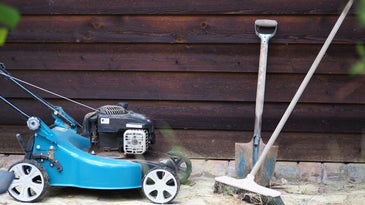 It's time to rip up your lawn and replace it with something you won't need to mow