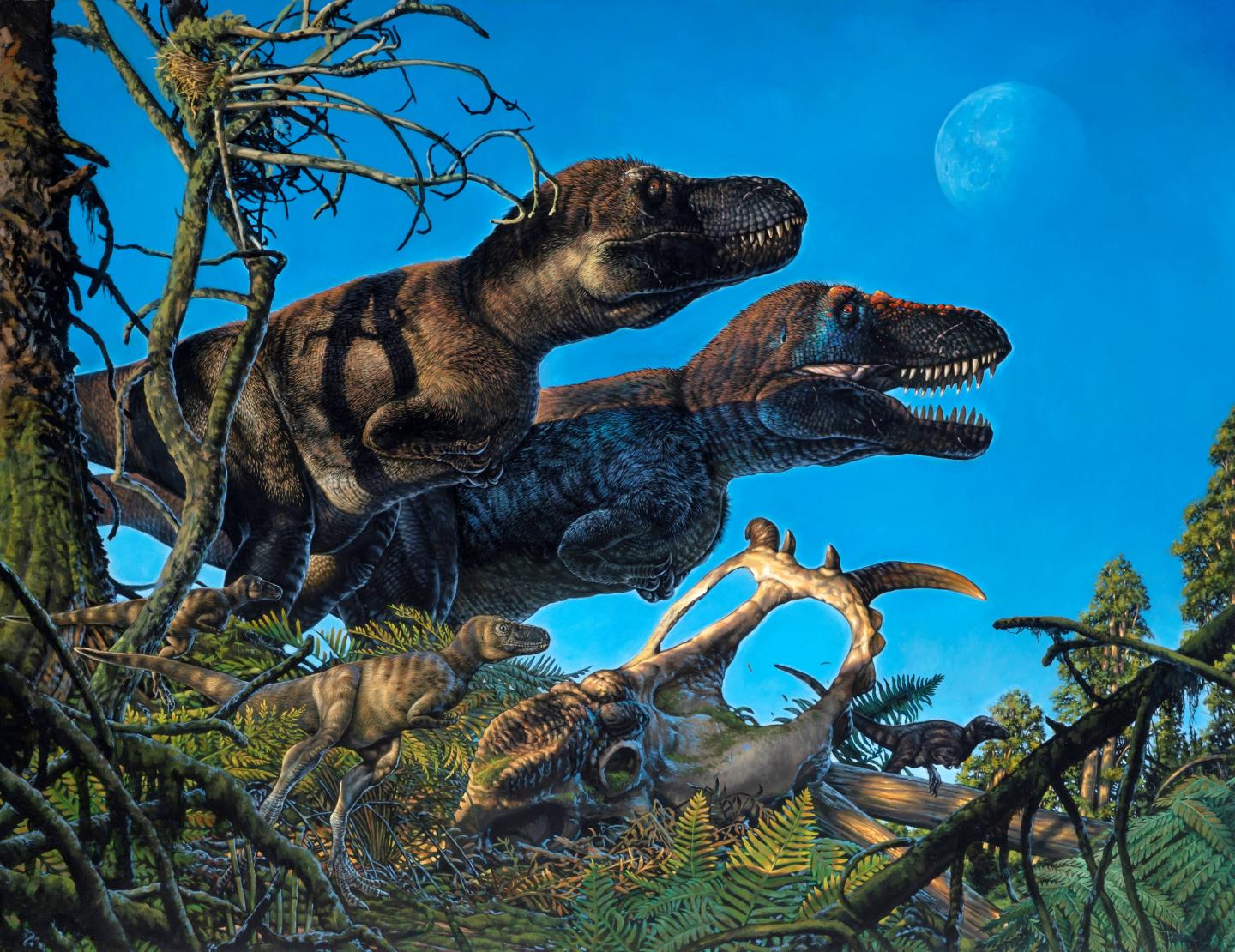 Dinos probably liked the colder weather a lot more than scientists once predicted.