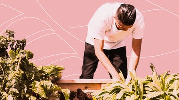 A person gardening in a wooden planter box.