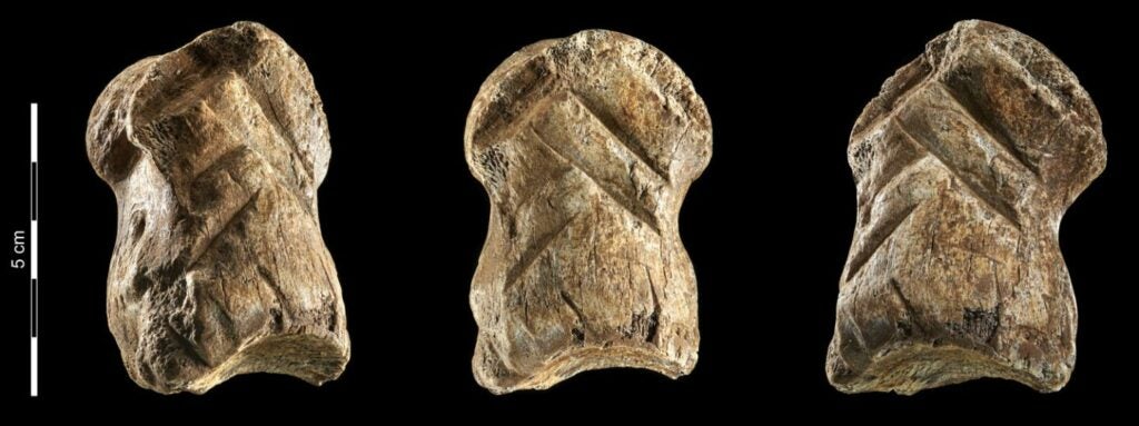 Three photos from different angles of a 2-inch bone thought to have been carved by Neanderthals.