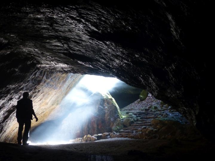 A human stands at the mouth of a cave looking outside.