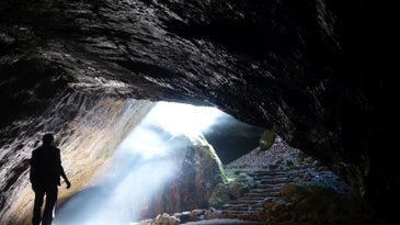 A human stands at the mouth of a cave looking outside.