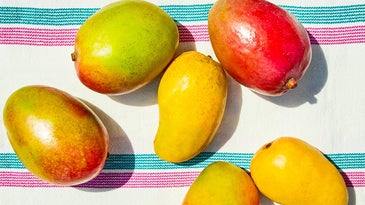 Tommy Atkins and Ataulfo mangoes on a white, blue, and pink blanket