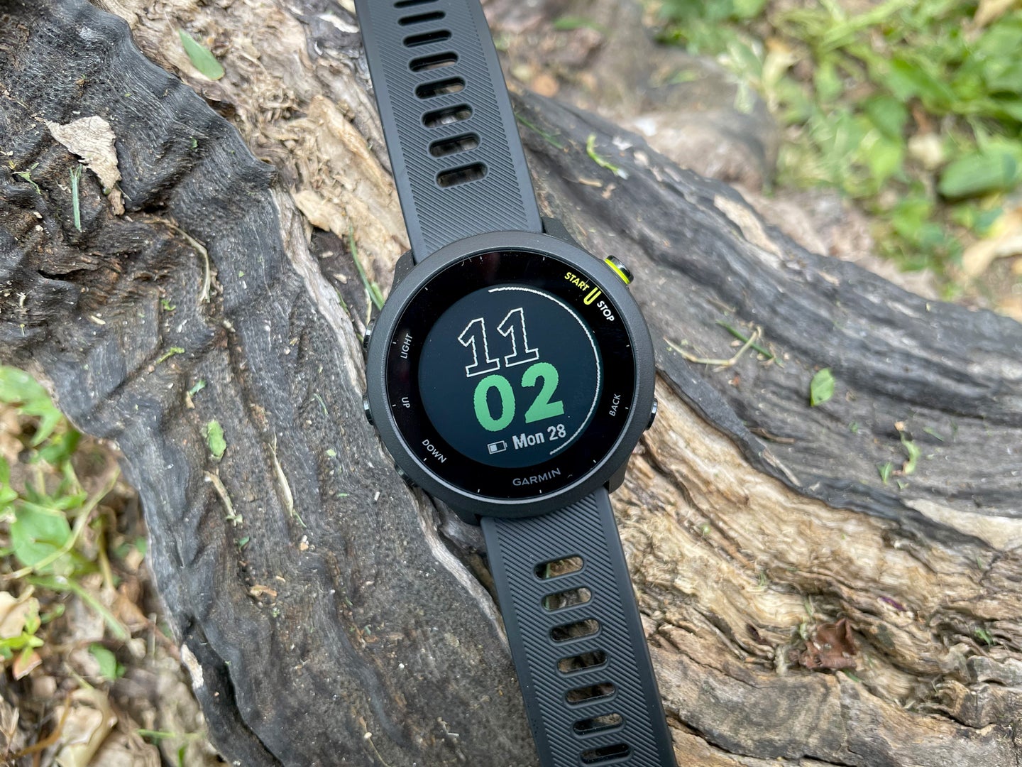 Garmin Forerunner 55 smartwatch on a log