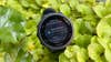 Garmin Forerunner 55 smartwatch in plants