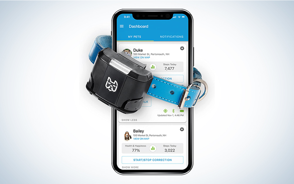 A Wagz Freedom Smart Dog Collar with coordinating app on a blue and white gradient background.