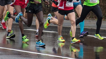 11 people are pictured running in a group on a rain-slicked road from the waist down. Most are wearing black shorts, the leader is wearing black, full length leggings. Their legs are muscular and their shoes are all bright colors like neon greens, blues, cherry red, and purple.