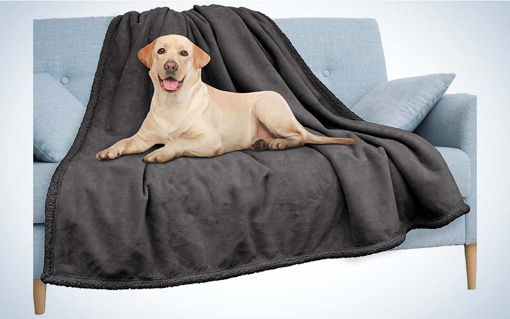 The Pavilia Waterproof Blanket is the best throw blanket for dogs.
