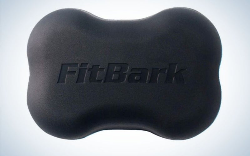 The FitBark GPS Dog Tracker is the best pet GPS tracker on a budget.