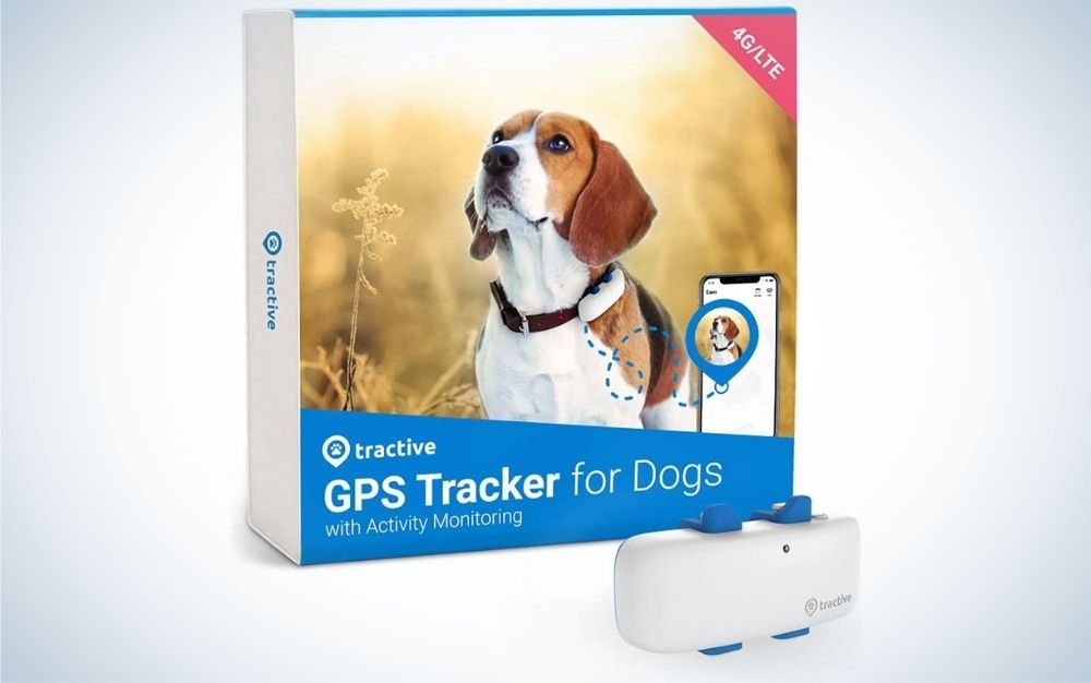 Tractive GPS Pet Tracker with LED Light Up Dog Collar - Waterproof, GPS  Location & Smart Activity Tracker, Unlimited Range (Blue, Large)