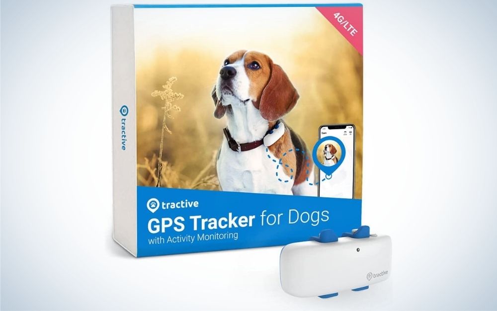 The best pet GPS trackers of 2023 Popular Science