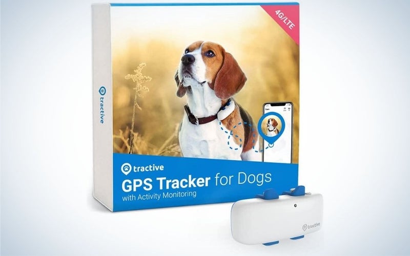 The Tractive LTE GPS Tracker is the best pet GPS tracker