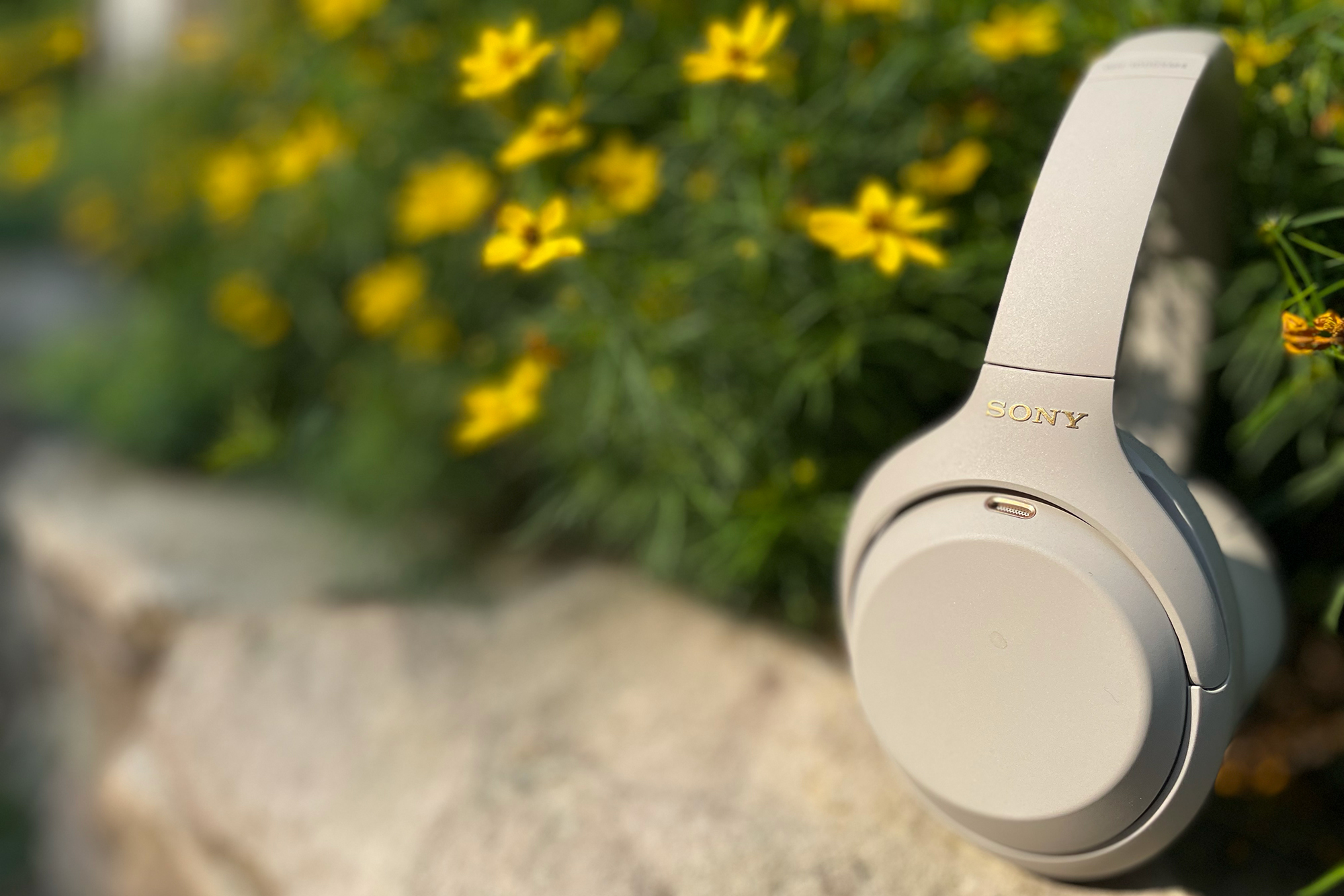 ven Forhandle Forenkle Sony WH-1000XM4 review: Noise-cancelling headphones you can live in