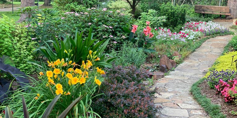 Floods from storms are destructive, but a humble rain garden can help
