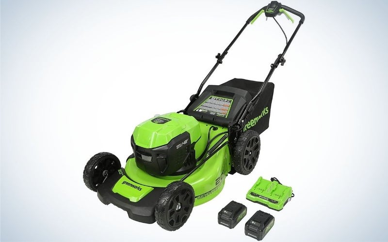 The Greenworks Self-Propelled Electric Lawn Mower is the best for suburbanites.