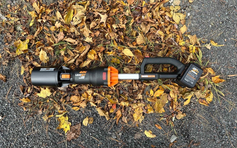 Best Leaf Blowers of 2023