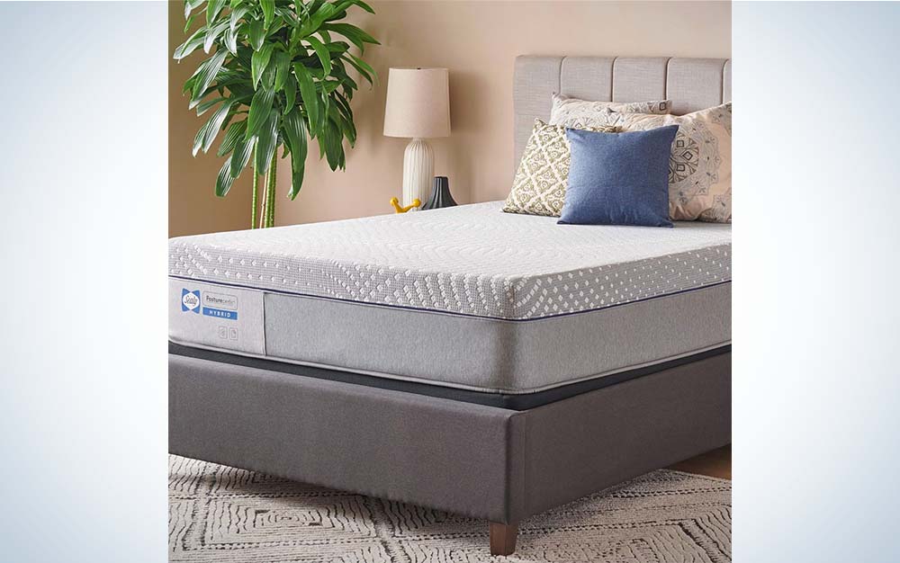A gray Sealy Posturepedic Mattress on a gray frame next to a plant and a lamp.
