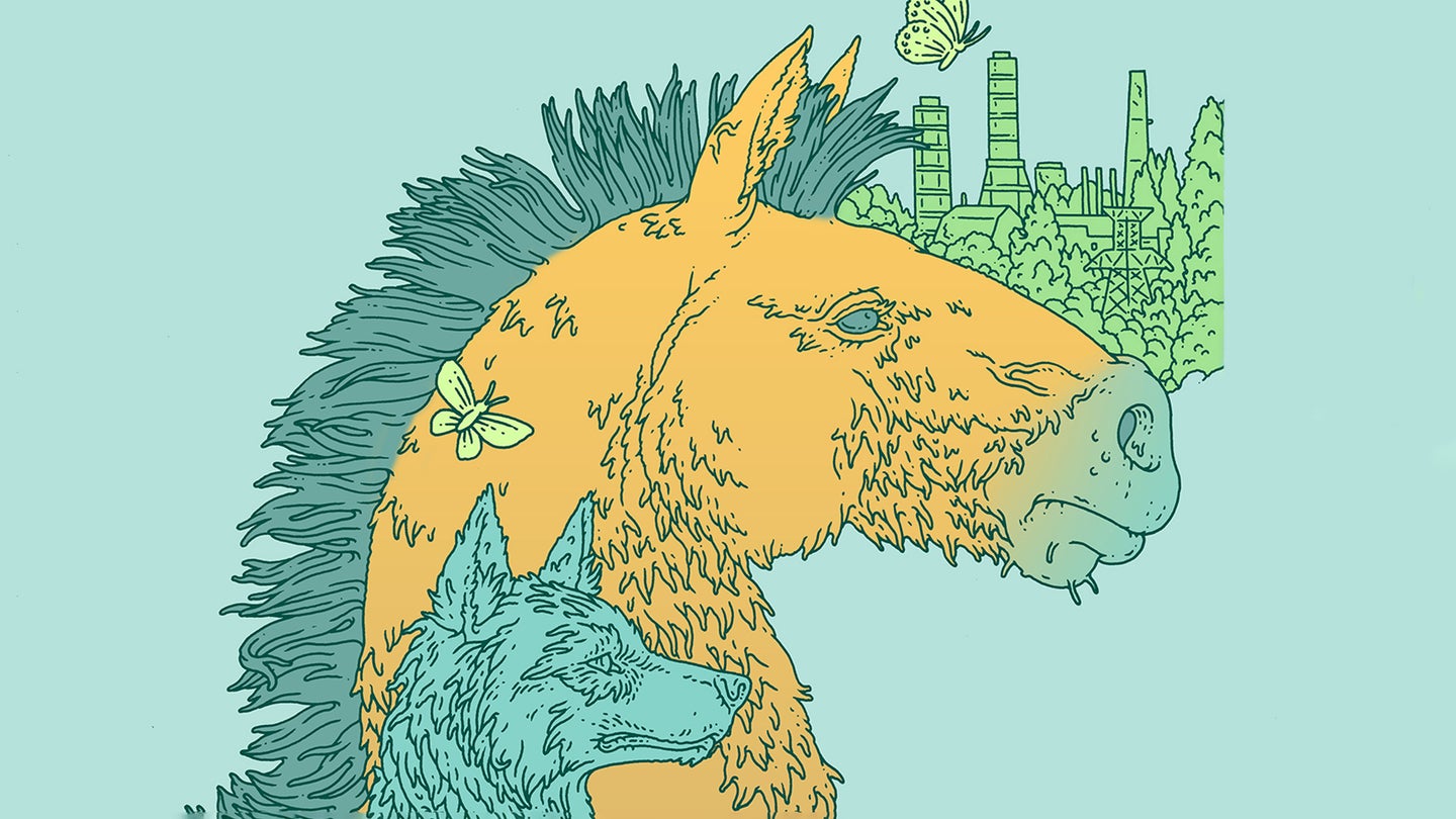illustration of horse, wolf, with chernobyl in background