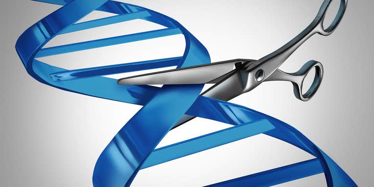 CRISPR breaks ground as a one-shot treatment for a rare disease
