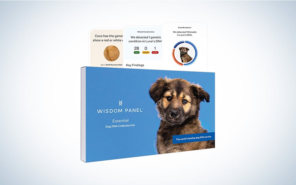The Wisdom Panel Essential kit is the best for customer service. 