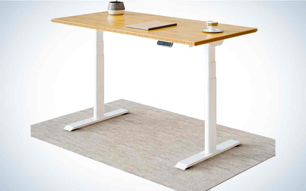 Flexispot Kana Pro Bamboo Standing Desk