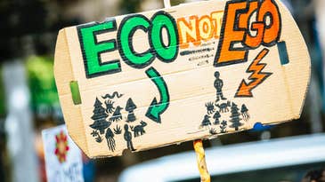 What is ecocide, and why might it be criminalized worldwide?