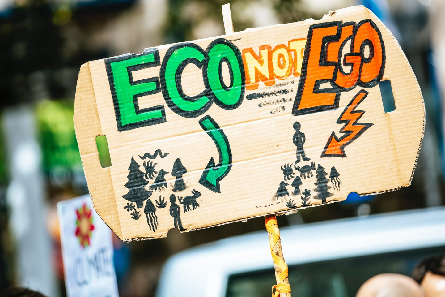 Legal experts have been pushing for recognition of ecocide for decades.