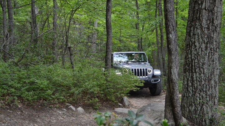 A Jeep Wranger driving through the woods