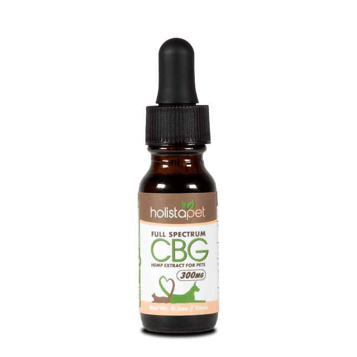 Best CBD oil for dogs: 10 top products and complete guide