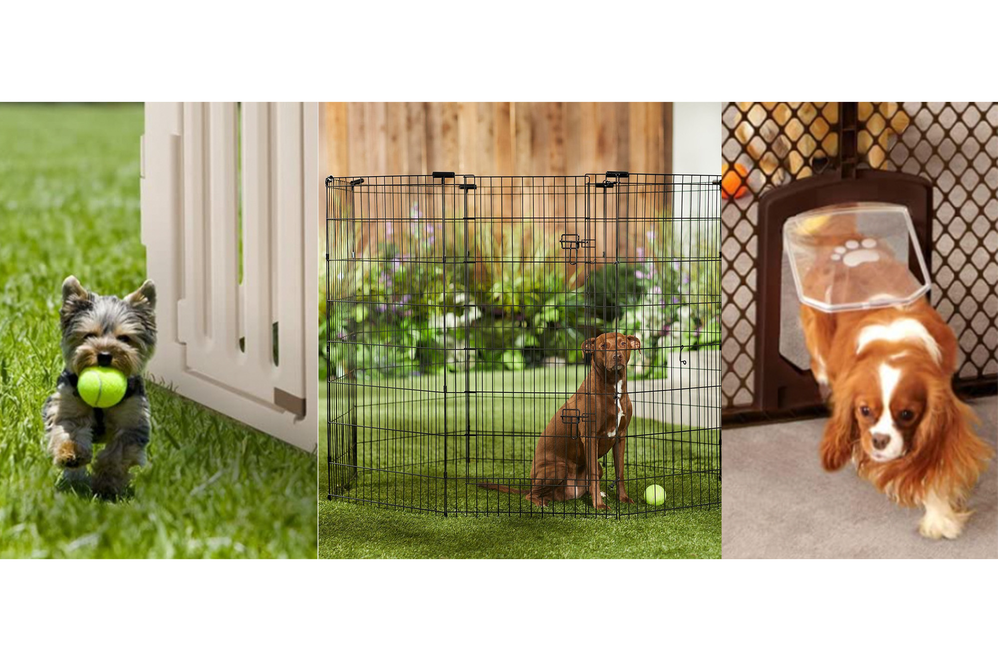 Keep your pet secure with one of the best dog pens.