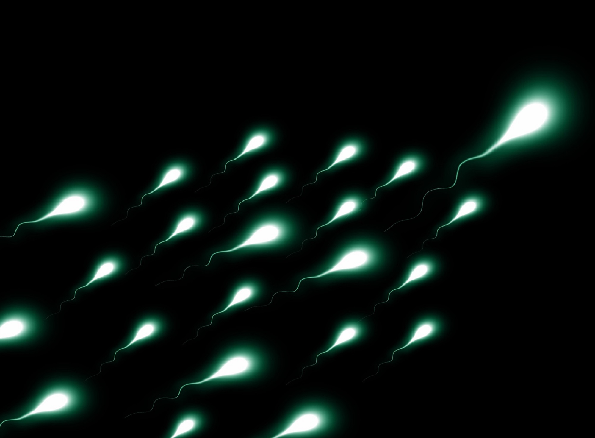 Pollution could be harming sperm around the world