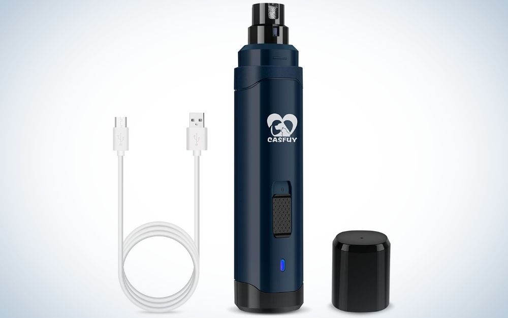 View of The best dog nail grinders of 2024 | Popular Science