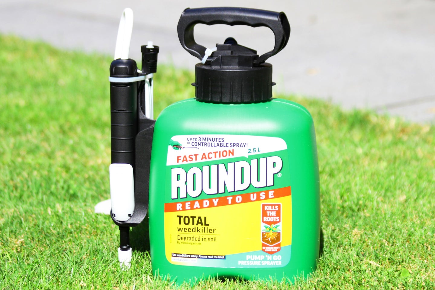 Roundup herbicide bottle on lawn